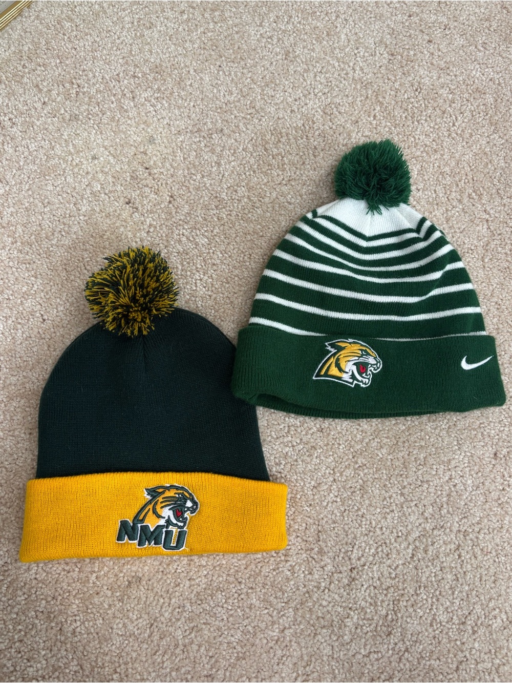 Northern Michigan Beanies